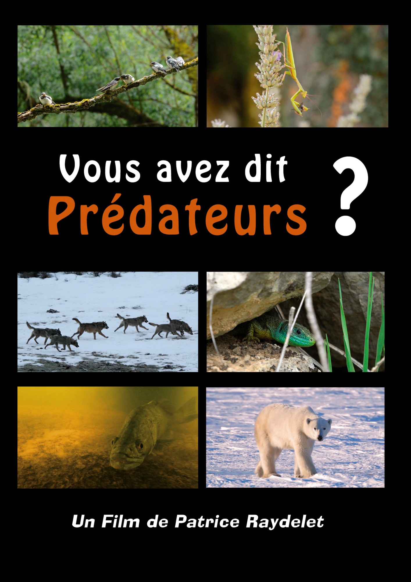 Affiche Vous avez dit Prédateurs